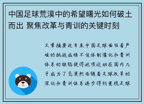 中国足球荒漠中的希望曙光如何破土而出 聚焦改革与青训的关键时刻