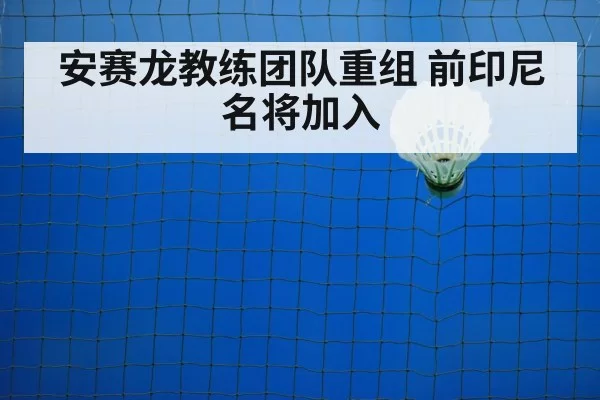 badminton net shot
